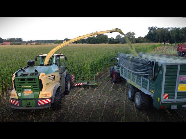 BIG X 1180! Maisernte 2024 !  Häckseln mit Fendt und JohnDeere Traktoren im Emsland!