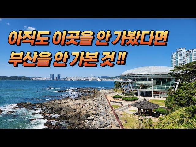 한 번은 무조건 가봐야 하는 부산의 명소 "동백섬"과 "누리마루 APEC 하우스", 나무 숲과 바다, 빌딩 숲이 어우러진 환상적인 풍경~!!