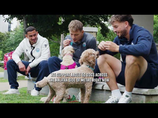 Wanderers volunteer as dog walkers for ElderDog