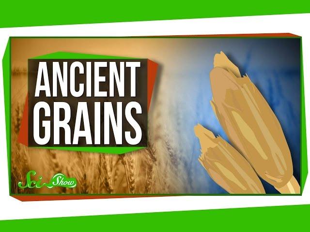 Are Ancient Grains Really Better For You?