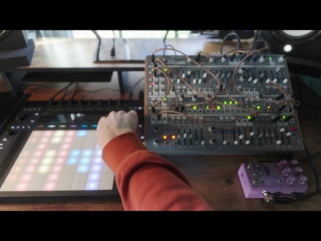 Shifting Sunrise | Intellijel Cascadia | Ableton Push 3