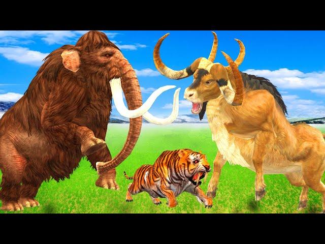 3 Giant Tiger Lion vs 3 Zombie Cow Bull vs 3 Monster Lion Mammoth Attack Cow Saved By Woolly Mammoth