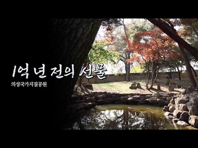 2023.12.16(토) 1억년 전의 선물, 의성국가지질공원 / 안동MBC