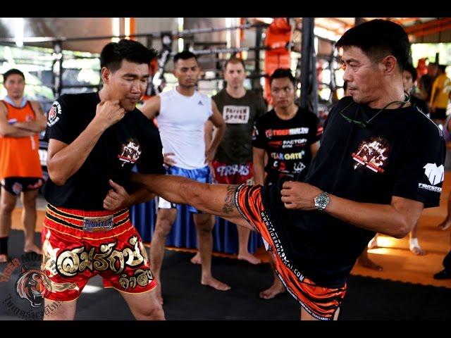 10 Muay Thai Techniques by Legends