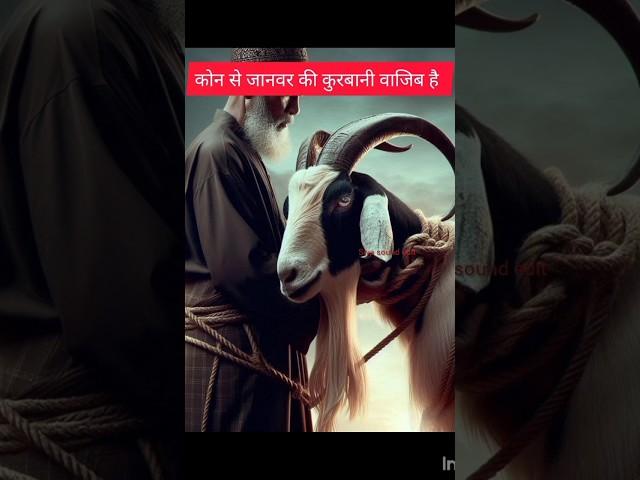 कोन से जनवर की कुर्बानी वजीब है  #ytshorts #shorts #treandingshort #treandingshort