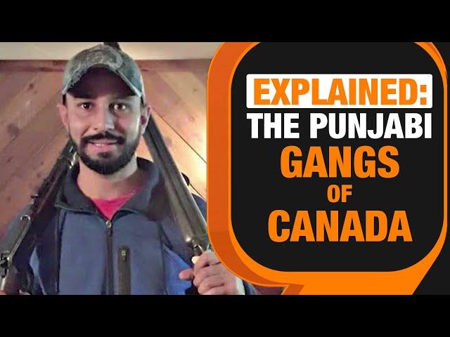 Vancouver Cop Explains | What Explains The Rise of Punjabi Gangs In Canada | News9