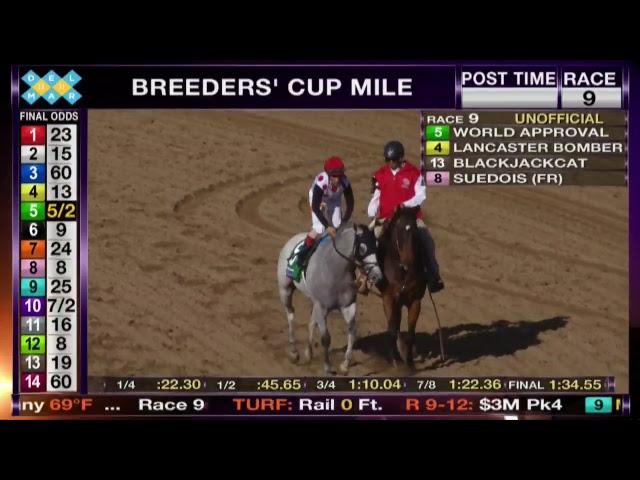 LIVE The Breeders' Cup World Championships Saturday