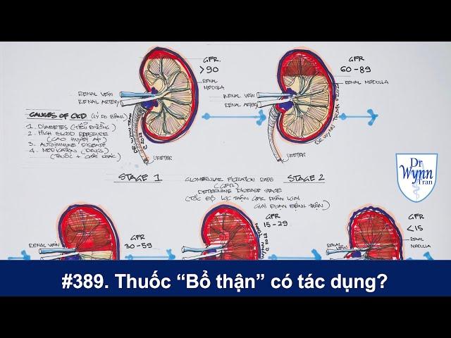 #389.  Thuốc "bổ thận"  và cách chẩn đoán, theo dõi bệnh thận bằng chỉ số GFR/Cr.