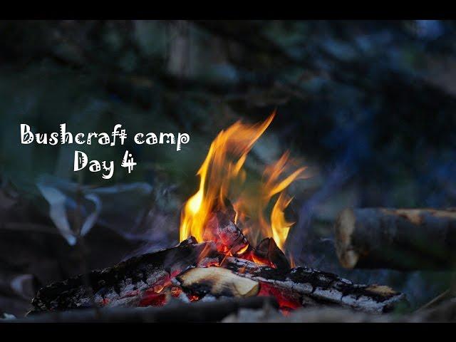 Базовий табір в лісі. Будівництво. День 4 | Bushcraft shelter building Day 4