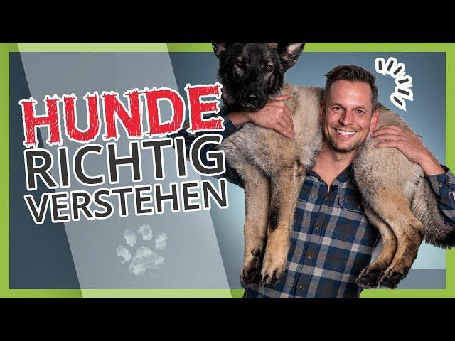 Hunde RICHTIG verstehen [Körpersprachliche Arbeit mit dem Hund]