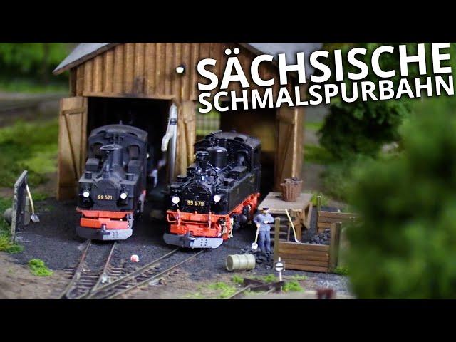 Modellbahn: Sächsische Schmalspurbahn mit Rollwagenverkehr