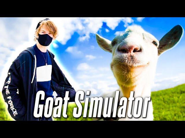 Ranboo Plays Goat Simulator