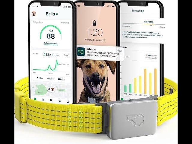 TechTails: Exploring Whistle GPS Health Fitness Smart Dog Collar - Ultimate Dog GPS Tracker