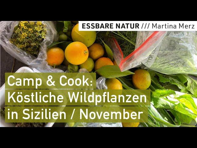 Camp & Cook: Wildkräuter und Früchte am Mittelmeer sammeln & zubereiten, Sizilien-Vanlife November