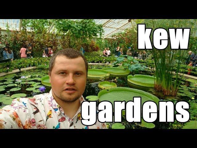 KEW GARDENS |  ЛУЧШИЙ БОТАНИЧЕСКИЙ САД