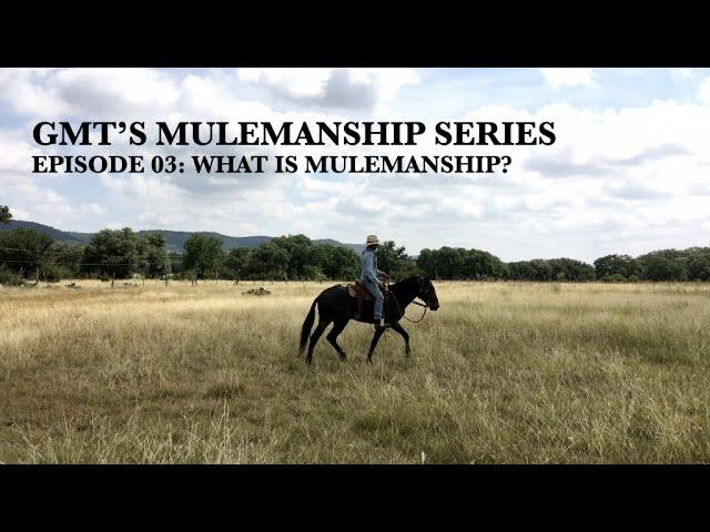 Mulemanship Series Episode 03:  “What is Mulemanship”