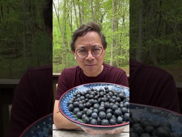 BLUEBERRIES VS KIWI  #eattobeatdisease #foodasmedicine #drwilliamli #eattobeatyourdiet