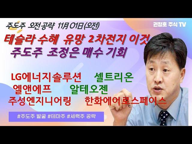 2차전지 상승 테슬라 수혜 유망주 바이오 전략?