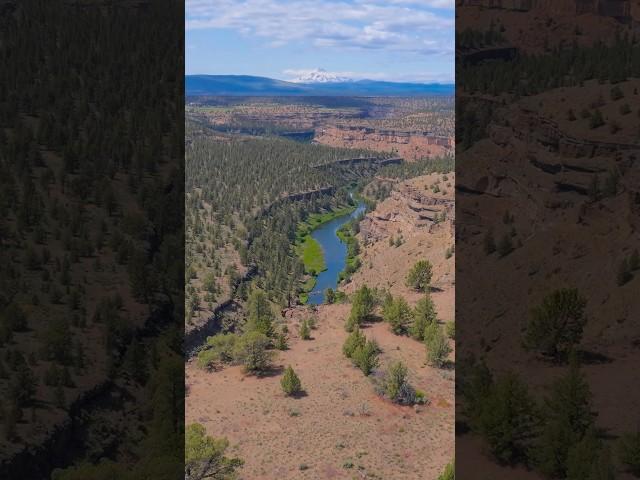 Following the Deschutes River through Oregon’s high desert toward Mt. Jefferson  #nature