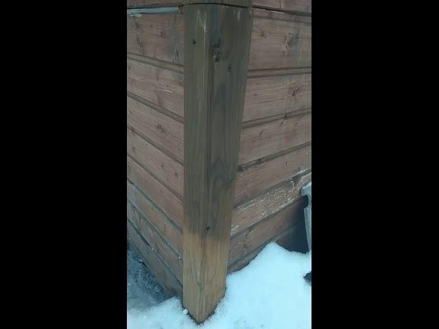 О морилке из уксуса