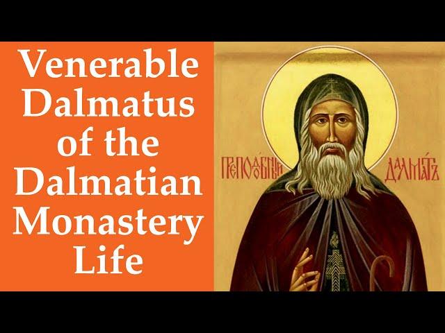 Venerable Dalmatus of the Dalmatian Monastery, Life , 03.08.20