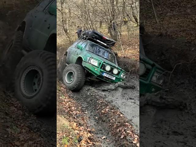 PATROL BROKE THE FRONT DIFFERENTIAL   #patrol #offroad #showrt