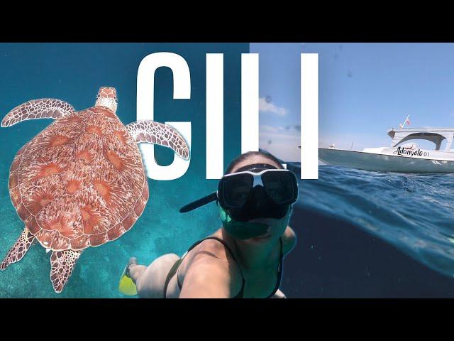 Snorkelling in the Gili Islands, Indonesia - Turtle Point