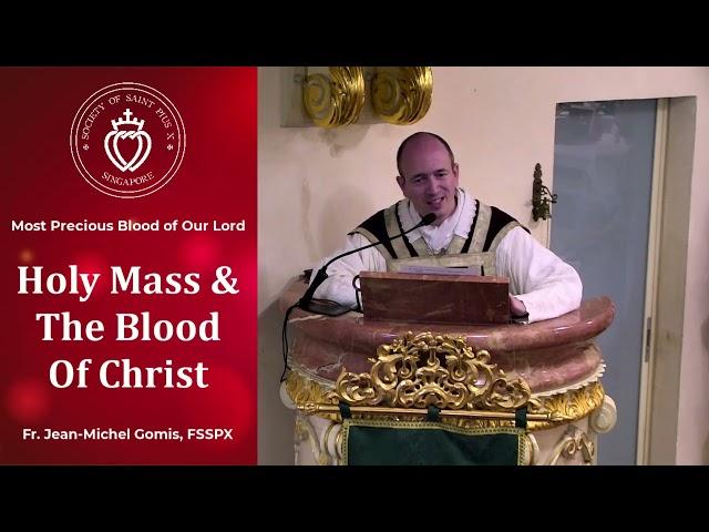 Holy Mass And The Blood Of Christ - Sermon by Fr Gomis (1 Jul 2024)