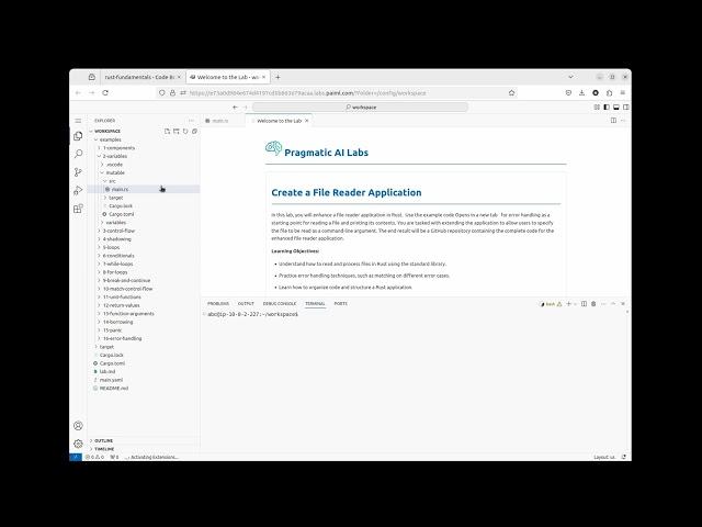 Rust Interactive Labs on Pragmatic AI Labs