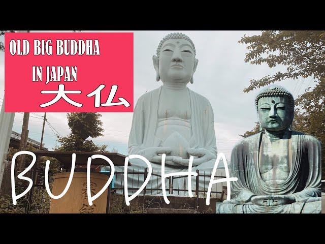 OLD BIG BUDDHA IN JAPAN |大仏 Jennifer Koike