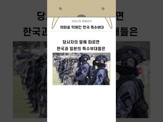 의외로 약체인 한국 특수부대
