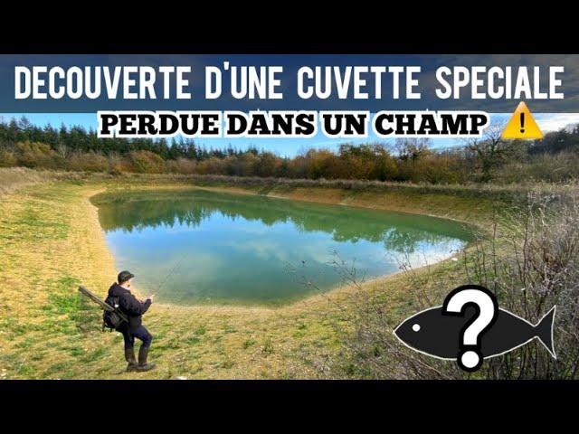 DÉCOUVERTE INCROYABLE, CUVETTE TRÈS SPÉCIALE PERDUE au MILIEU d'un CHAMP / Y'A T-IL DU POISSON ?