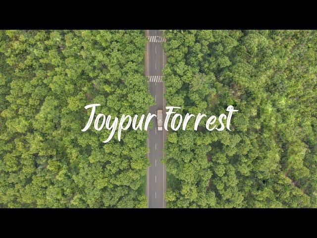 Joypur Forrest Bishnupur | Drone Shot | Unseen Bengal