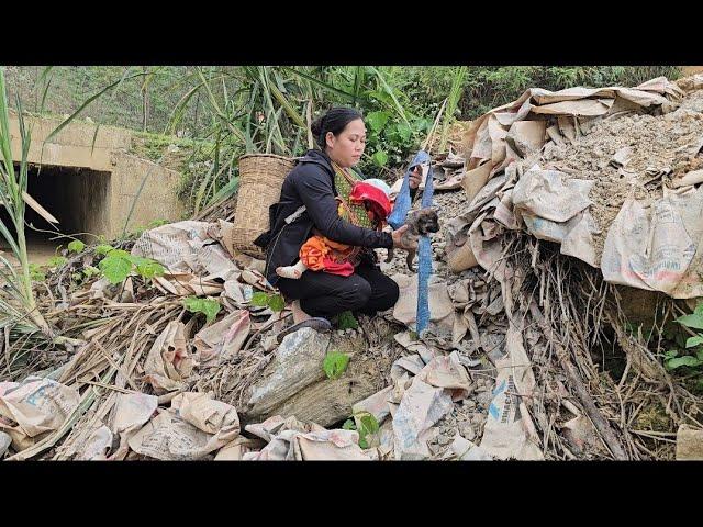 Single mother rescues abandoned puppy from dump// Lý Tử Diệu