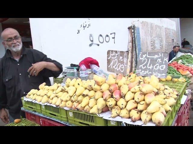 من لخر.. الإجاص جويد ومضروب.. قعور وكول وصلي الرسول.. إكتشفوا أسعار الغلة في نصبة الزوالي!