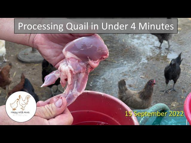 Processing Quail in Under 4 Minutes