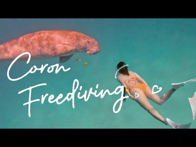 인어전설의 주인공, 듀공을 만나다!!이거 보면 프리다이빙 배우고 싶어질걸요? (ep.3) Freediving with Dugong in Philippines (ENG)