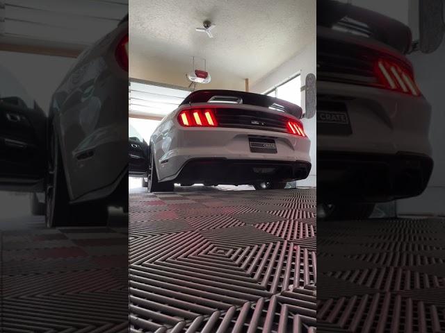 2021 Mustang GT 5.0 Cold Start Borla Atak Exhaust