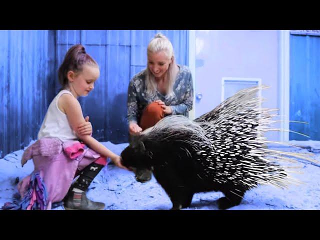 SO MANY ANIMALS!! Ft. Animal Wonders Montana