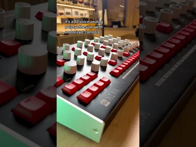 Nina is here! #analogsynth #analogsynthesizer #analogsynthesizers #synth #moogaudio #shorts