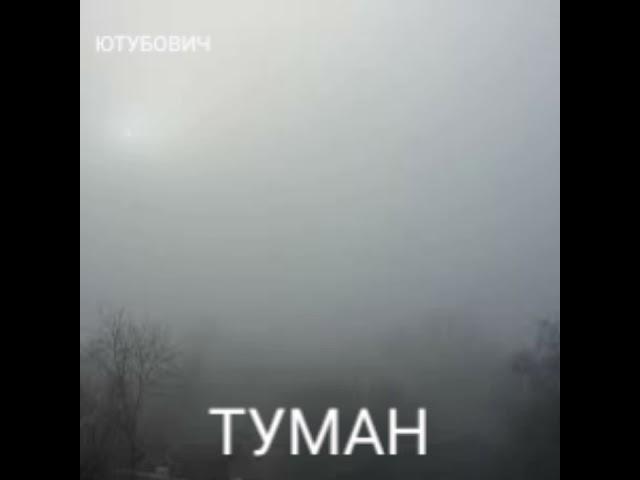 ЮТУБОВИЧ - ТУМАН Cover by Сектор газа