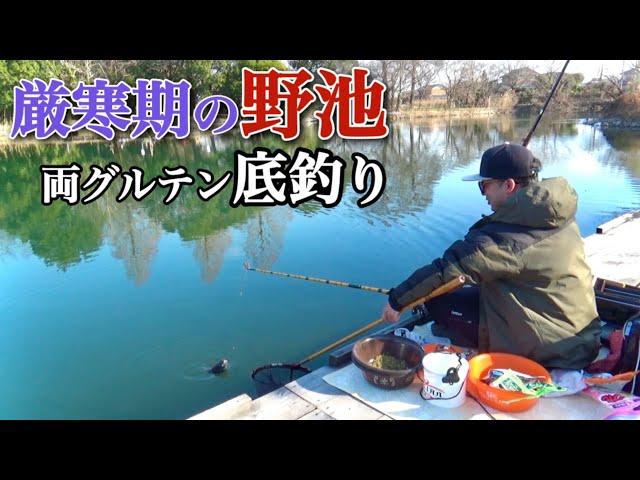 厳寒期の野池で両グルテン底釣り！食い渋るヘラブナを狙う【切所沼】