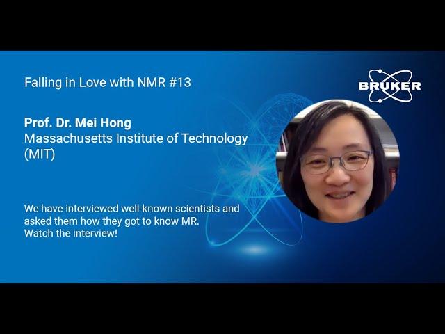 Interview with Prof. Dr. Mei Hong, MIT, Cambridge, Massachusetts, USA | Falling in Love with MR | 13