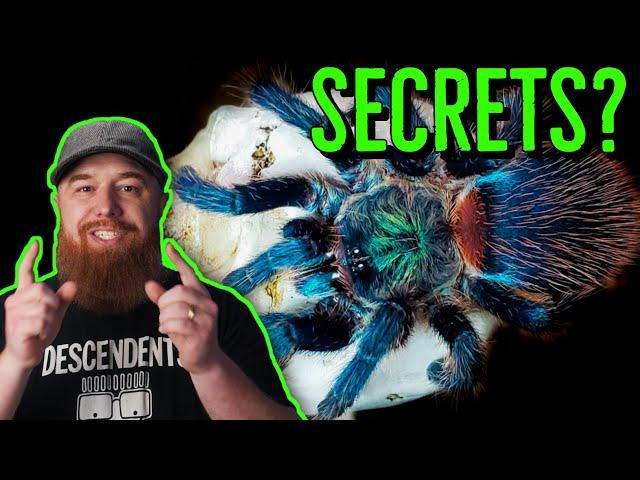 5 Things I Wish I Knew BEFORE Getting A Pet Tarantula!