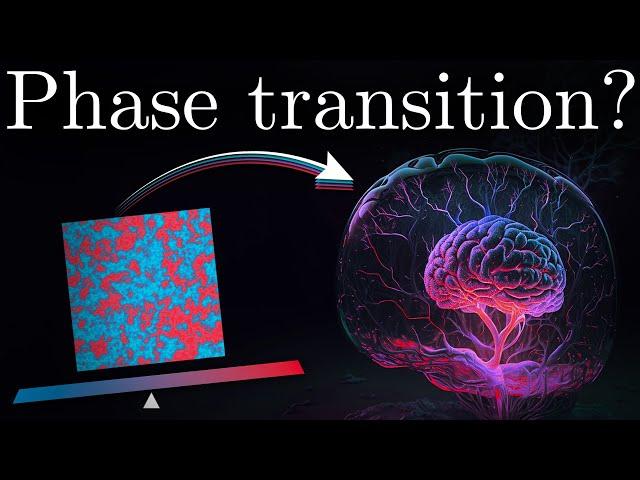 Brain Criticality - Optimizing Neural Computations