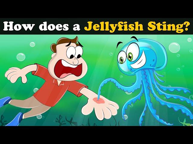 How does a Jellyfish Sting? + more videos | #aumsum #kids #science #education #whatif