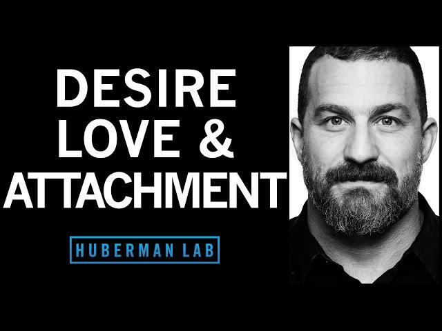 The Science of Love, Desire and Attachment