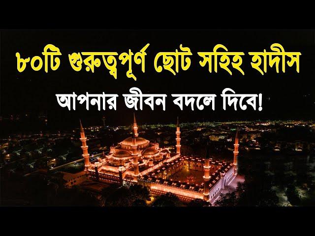 নবীজির ৮০টি (গুরুত্বপূর্ণ) ছোট সহিহ হাদীস | | Sahih Hadith