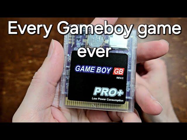 This Cart plays EVERY Game Boy game!