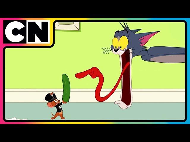 Tom & Jerry | Has Tom Finally Given Up? | Compilation | Cat and Mouse | Funny Cartoon  | @cnindia